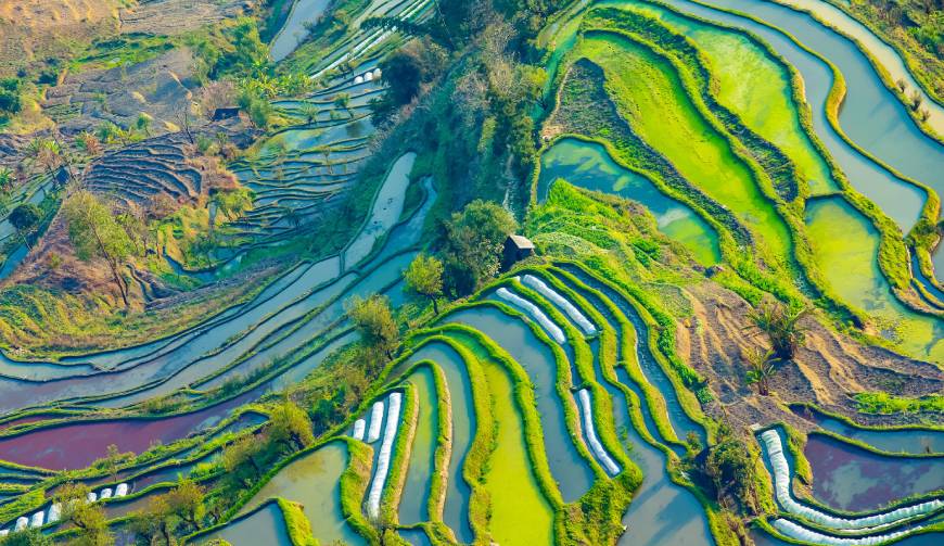 宝妈必备神器：泾阳县产品视频拍摄轻松育儿好帮手
