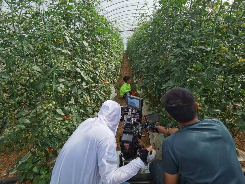 泾阳县产品宣传视频拍摄公司进阶指南，助力品牌抢占传播高地